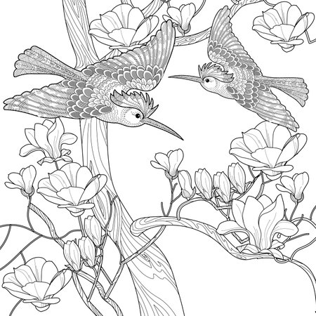 Art therapy coloring page. Coloring book antistress for children and adults. Birds and flowers hand drawn in vintage style. Ideal for those who want to feel more connected to natuのイラスト素材