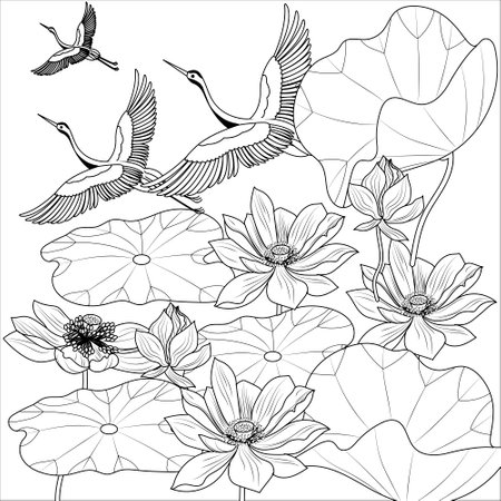 Lotus flower and stork. Black and white vector illustration for coloring book.のイラスト素材