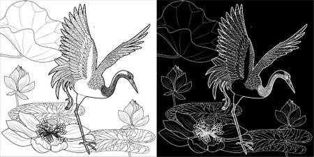 Black and white vector image of a pair of cranes and lotus flowersのイラスト素材