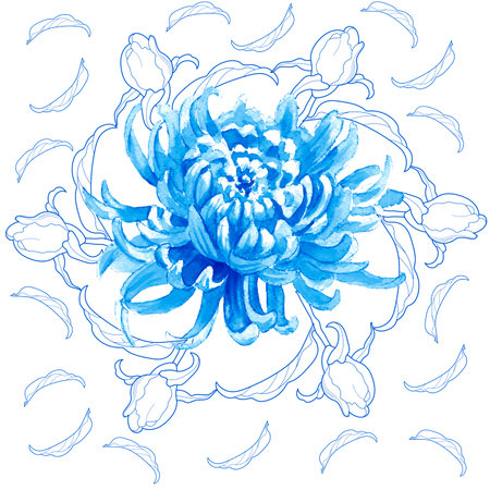 Blue chrysanthemum on a white background. Vector illustration.のイラスト素材