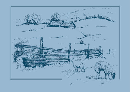 Vector hand drawn illustration of rural landscape with sheep and wooden fence.のイラスト素材