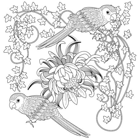 Set of parrots and flowers. Coloring page for adults.のイラスト素材
