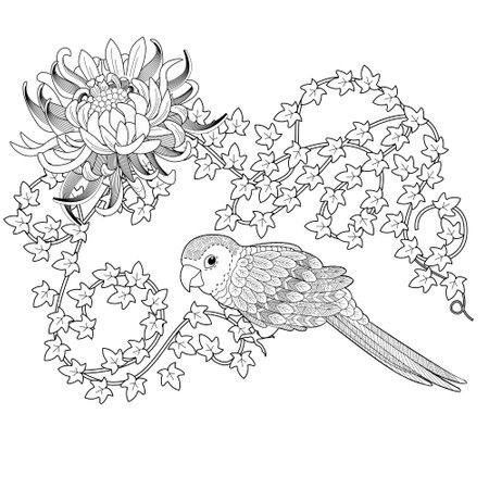 Vector parrot bird sitting on a flower. Coloring page for adults.のイラスト素材