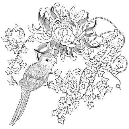Tropical parrot bird sitting on a branch of a chrysanthemum. Vector illustration for adult anti stress coloring book page.のイラスト素材