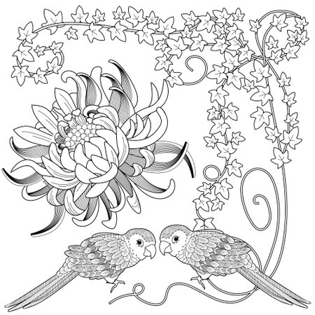 Coloring book for adults and older children. Coloring page with parrot and flowers.のイラスト素材