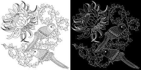 Beautiful parrots and flowers. Coloring book for adults and older children. Outline drawing in black and white.のイラスト素材