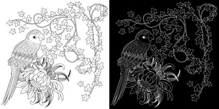 A parrot sits on a branch with flowers. Coloring book for adults and older children. Black and white illustration in black and white.のイラスト素材