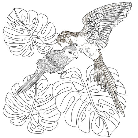 Tropical bird, parrot and palm leaves. Hand drawn illustration for adult anti stress coloring page.のイラスト素材