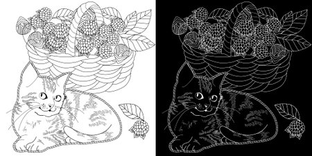 Coloring book for adults and older children. Coloring page with black and white image of a cat sitting in a wicker basket with berries.のイラスト素材