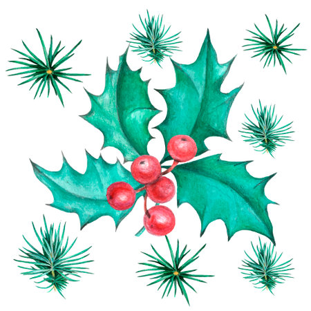 Watercolor Christmas holly branches with berries. Hand drawn illustration.のイラスト素材