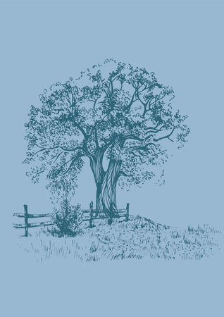 Old oak tree on a blue background. Hand drawn vector illustration.のイラスト素材