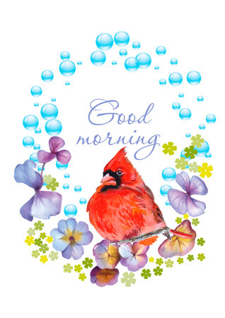 Watercolor card with cardinal bird, flowers and bubbles on white backgroundのイラスト素材