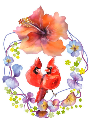Watercolor floral background with red cardinal bird and hibiscus flowersのイラスト素材