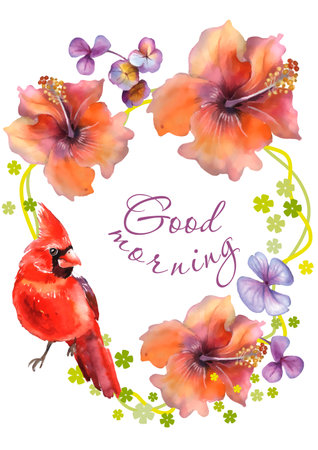 Cardinal bird, hibiscus flowers and butterflies. Vector illustration.のイラスト素材