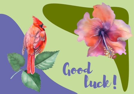 Watercolor card with a cardinal bird and hibiscus flowersのイラスト素材