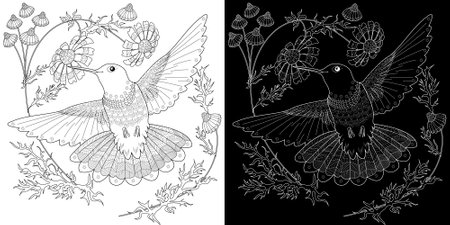 Coloring book for adults and older children. Coloring page with black and white image of Hummingbird and flowers.のイラスト素材
