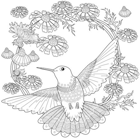 Coloring book for adults. Coloring page with hummingbird and flowersのイラスト素材