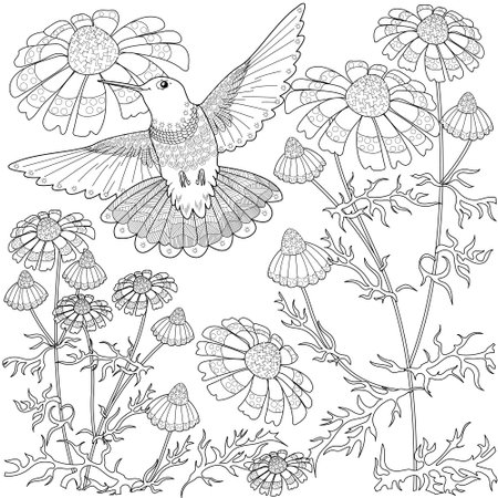 Coloring book for adults and older children. Coloring page with flowers and hummingbirdのイラスト素材