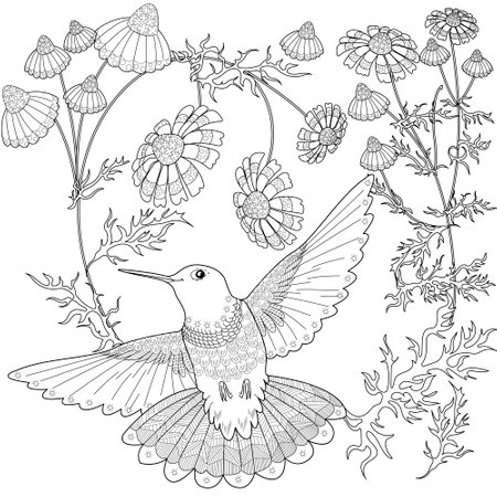Coloring book for adults and older children. Coloring page. Black and white illustration with hummingbird and flowers.のイラスト素材
