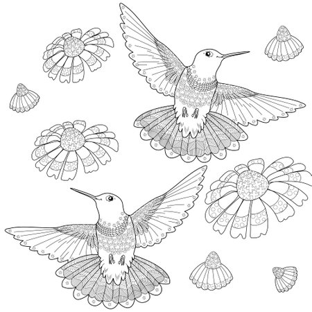 Colored hummingbird set. Coloring book for adults and older children. Black and white vector illustration.のイラスト素材