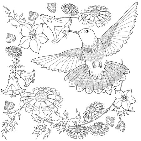 Coloring book for adults and older children. Coloring page with a hummingbirdのイラスト素材