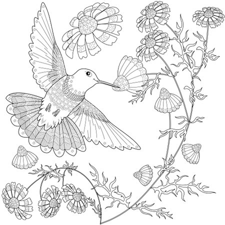 Hummingbird and flowers. Coloring book for adults and older children. Black and white illustration.のイラスト素材