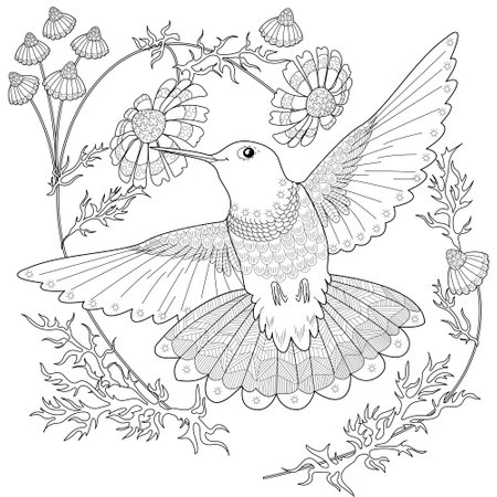 Coloring book for adults and older children. Coloring page with a hummingbird and flowers.のイラスト素材