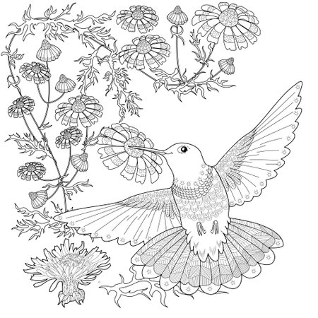 Coloring book for adults and older children. Coloring page with hummingbird and flowers.のイラスト素材