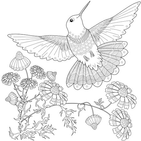 Coloring page for adults. Coloring book for adults and older children. Coloring page with hummingbird.のイラスト素材