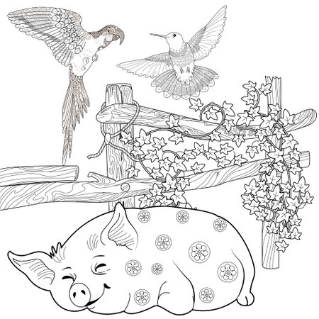 Coloring book for adults. Black and white vector illustration of a cute sleeping pig on a fence with flowers.のイラスト素材