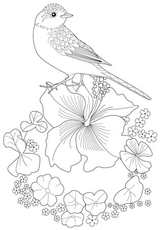 Bird sitting on a hibiscus flower. Coloring book for adults and older children.のイラスト素材