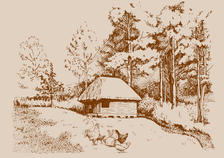 Drawing of a cottage in the woods with ducks and geeseのイラスト素材