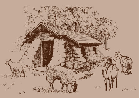 Sheep on the background of an old wooden house. Sketch.のイラスト素材