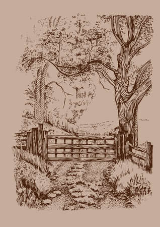 Hand drawn illustration of a wooden fence and a tree in the backgroundのイラスト素材