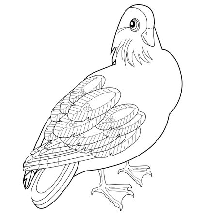 Coloring book for adults and older children. Coloring page with a picture of a pigeon.のイラスト素材