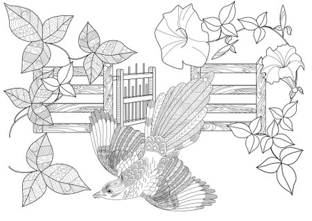 Elegant bird sitting on a wooden fence surrounded by flowers and leaves. Hand drawn illustration for adult coloring book page.のイラスト素材