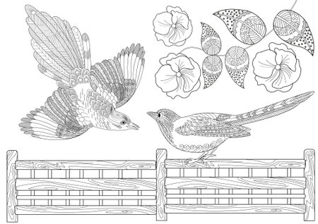 Set of birds and flowers. Black and white vector illustration for coloring book.のイラスト素材