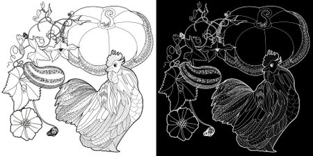 Vector illustration of a hand drawn rooster and pumpkins. Coloring book page for adults.のイラスト素材