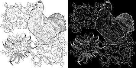 Coloring book for adults and older children. Black and white image with a rooster.のイラスト素材