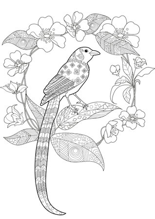 Tropical bird and flowers. Hand drawn illustration for adult anti stress coloring page.のイラスト素材