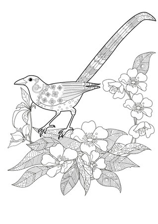 Bird and hibiscus flowers. Coloring page for adults.のイラスト素材