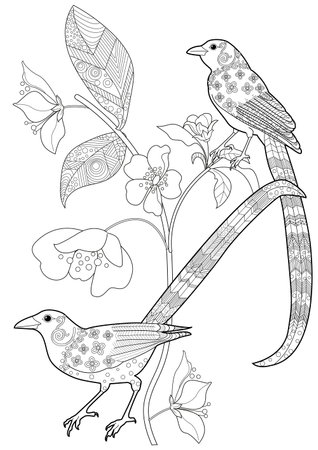 Tropical bird with flowers. Black and white illustration for coloring book.のイラスト素材