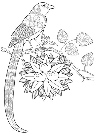 Coloring book for adults and older children. Coloring page with a bird sitting on a flowerのイラスト素材
