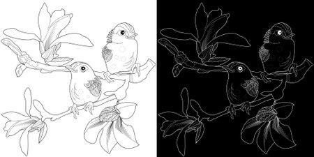 Coloring book for adults and older children. Coloring page with flowers and birds.のイラスト素材