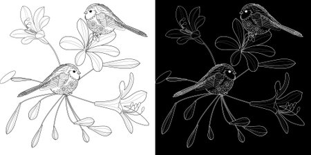 Black and white vector illustration of birds and flowers. Coloring book for adults and older children.のイラスト素材