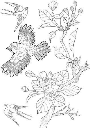 Set of birds and flowers. Black and white illustration for coloring bookのイラスト素材