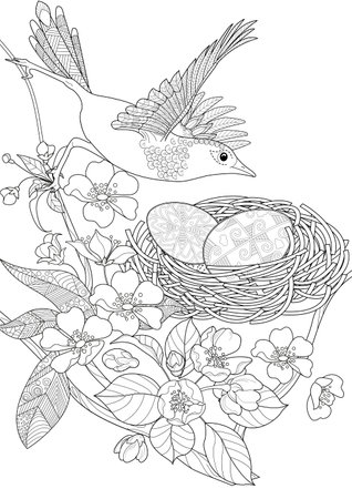 Coloring page for adults and children. Black and white image of a bird with a nest and eggs.のイラスト素材