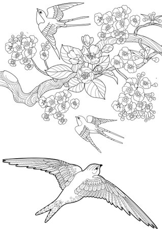 Sketch of swallows and cherry blossom. Vector illustrationのイラスト素材