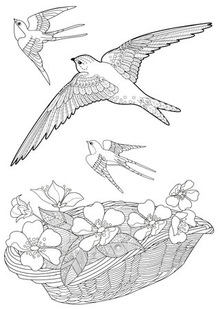 Sketch of swallows flying over the nest with flowers. Coloring book for adultsのイラスト素材