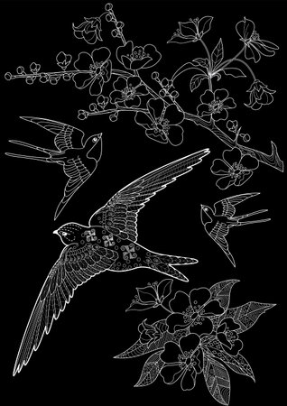 Sketch of swallows and cherry blossoms on black backgroundのイラスト素材
